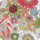 Liberty Tana Lawn - Small Susanna FQ